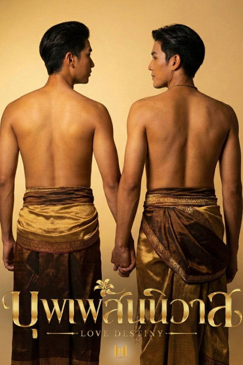 Póster de Love Destiny