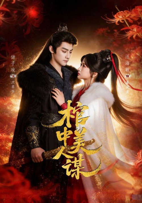 Póster de 棺中美人谋