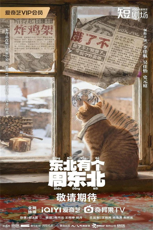 Póster de 东北有个周东北