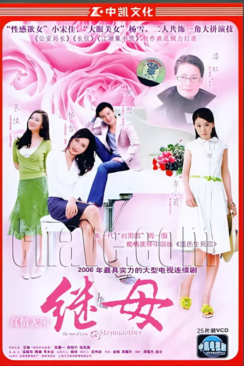 Póster de 真情无限之继母