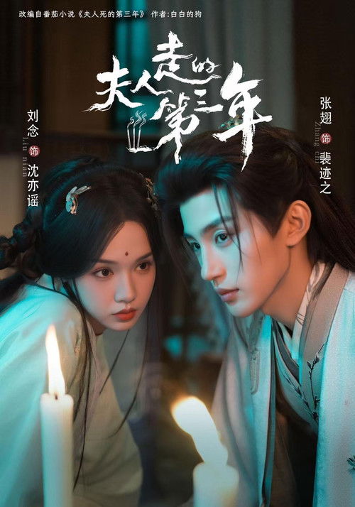 Póster de 夫人走的第三年