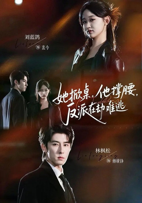 Póster de 她掀桌，他撑腰，反派在劫难逃