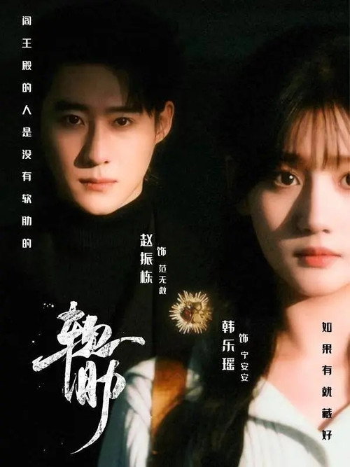 Póster de 软肋