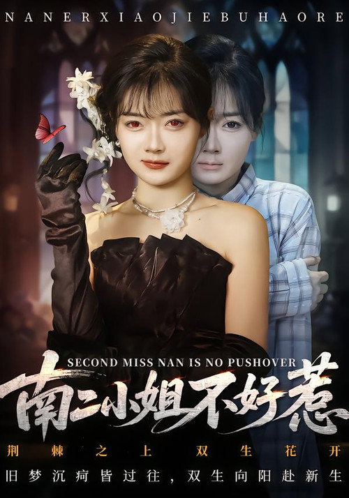 Póster de 南二小姐不好惹