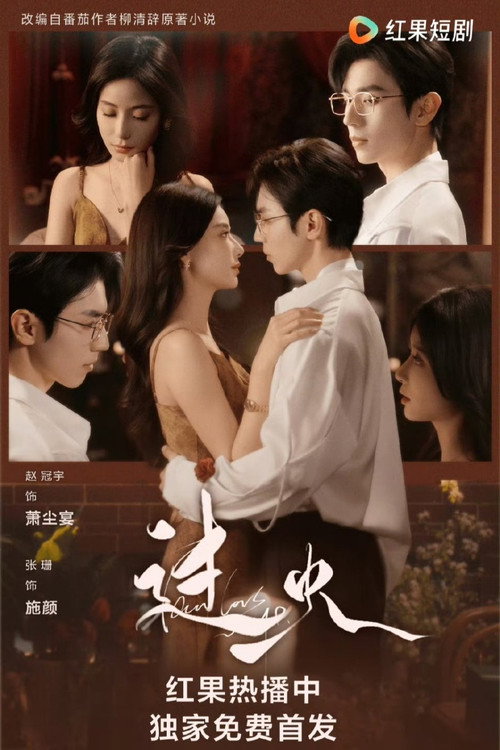 Póster de 过火