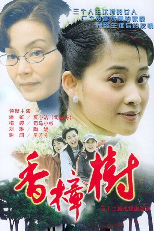 Póster de 香樟树