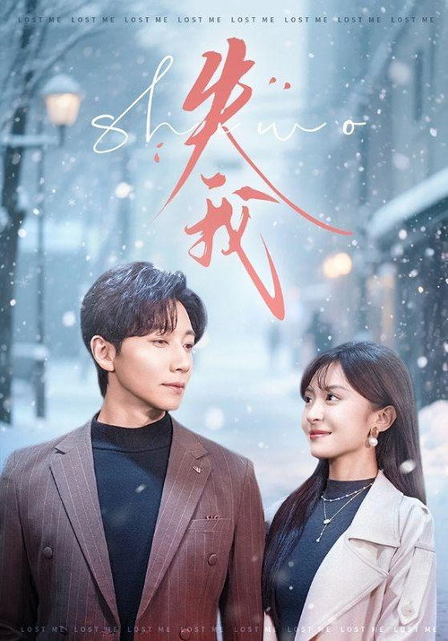 Póster de 失我