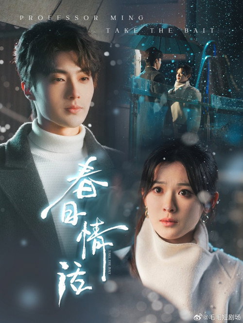 Póster de 春日情话