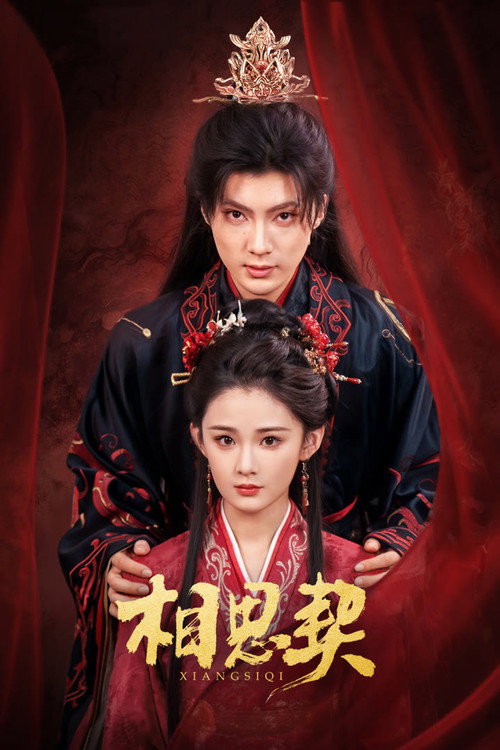 Póster de 相思契