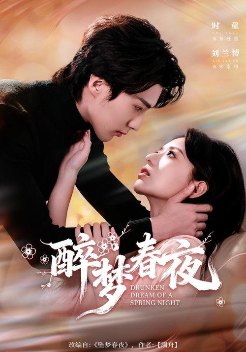 Póster de 醉梦春夜
