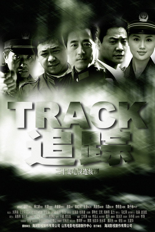 Póster de 追踪