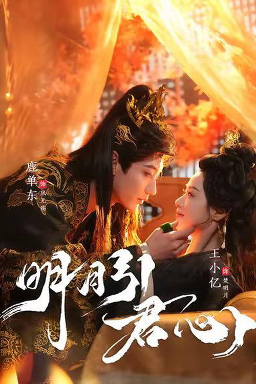 Póster de 明月引君心