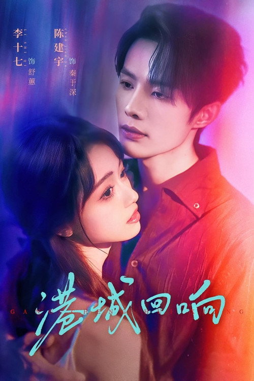 Póster de 港城回响