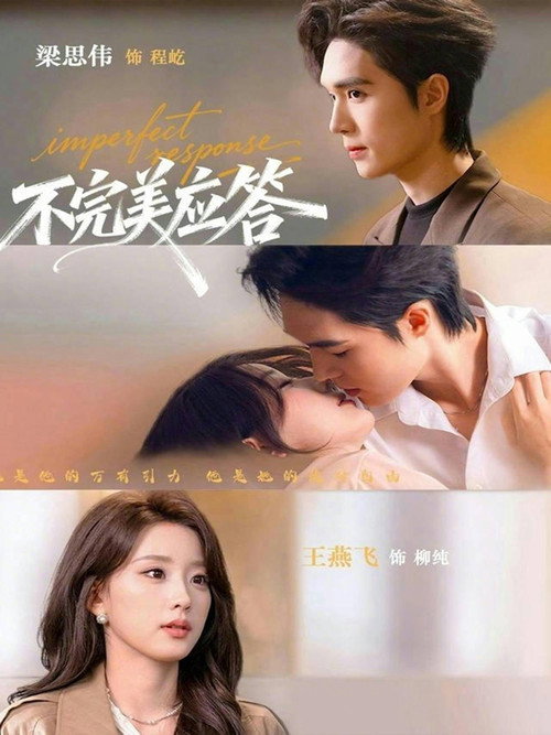 Póster de 不完美应答