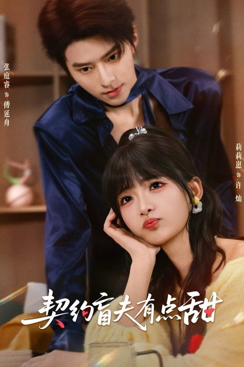 Póster de 契约盲夫有点甜