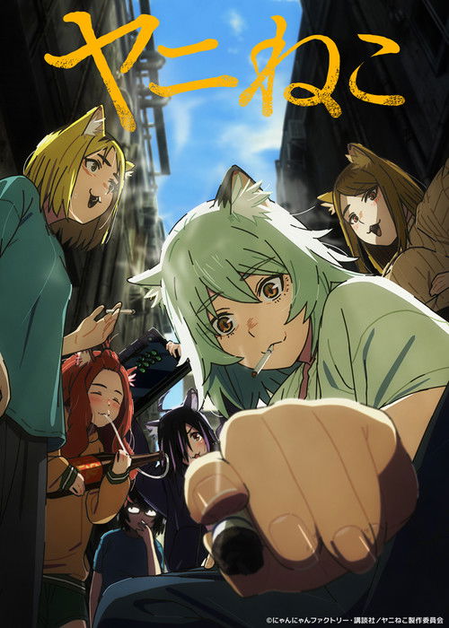Póster de ヤニねこ