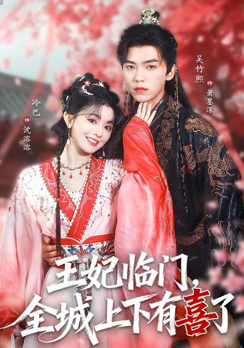 Póster de 王妃临门，全城上下有喜了
