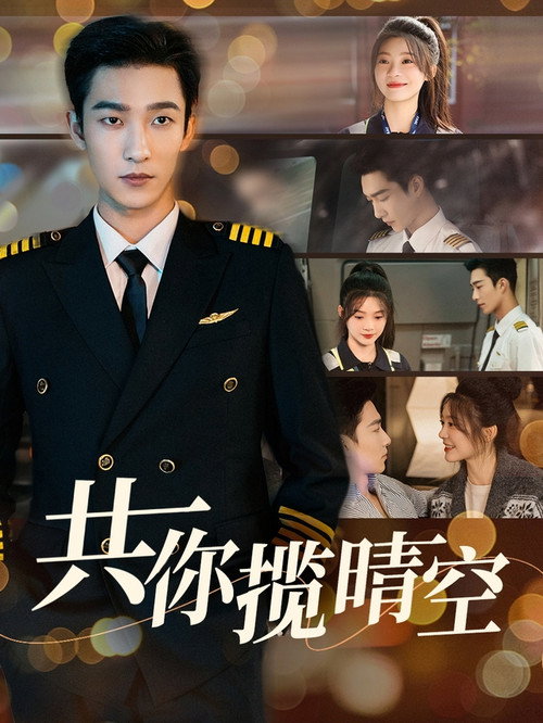 Póster de 共你揽晴空