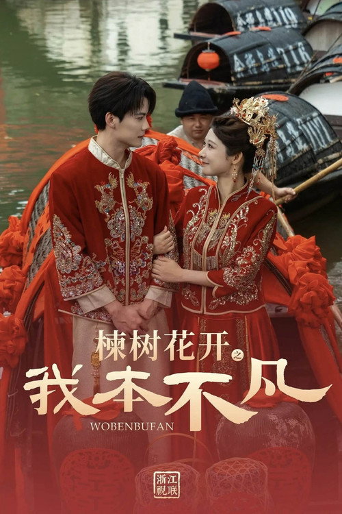 Póster de 楝树花开之我本不凡