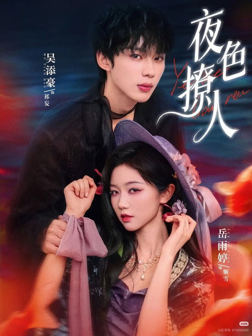 Póster de 夜色撩人