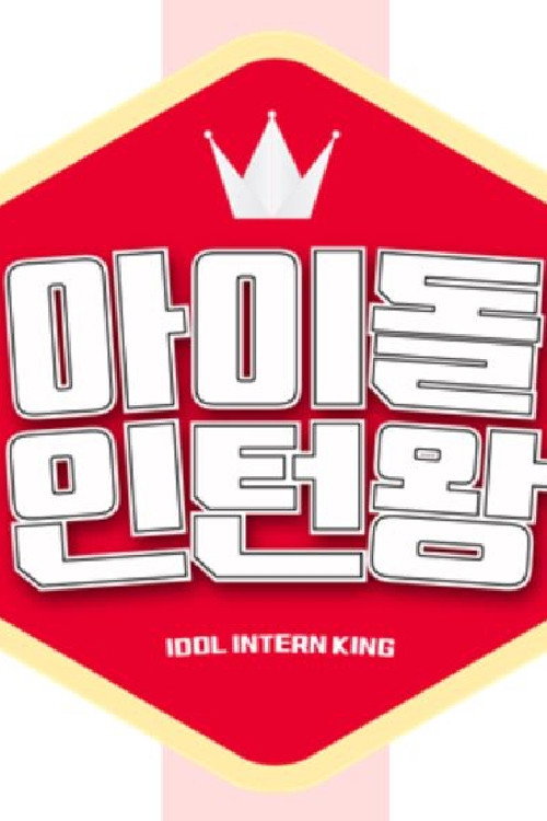 Póster de 아이돌 인턴왕