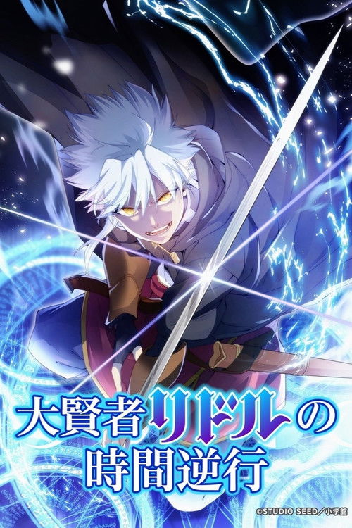 Póster de 大賢者リドルの時間逆行