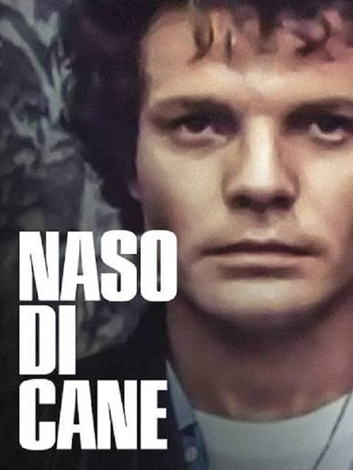 Póster de Naso di cane