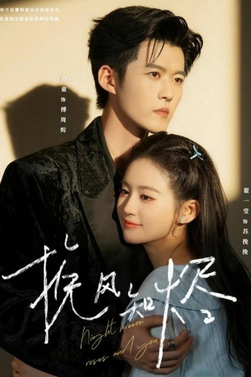 Póster de 挽风知烬
