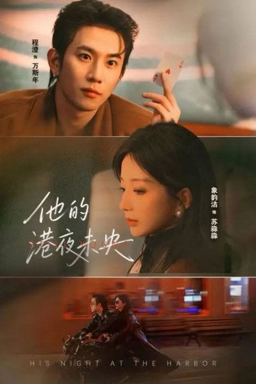 Póster de 他的港夜未央