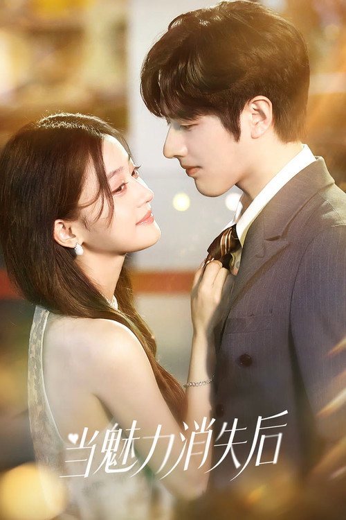 Póster de 当魅力消失后