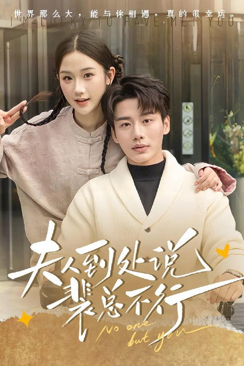 Póster de 夫人到处说裴总不行