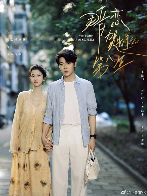 Póster de 暗恋贺先生的第八年