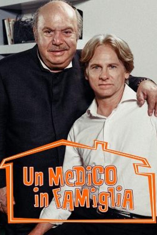 Póster de Un medico in famiglia