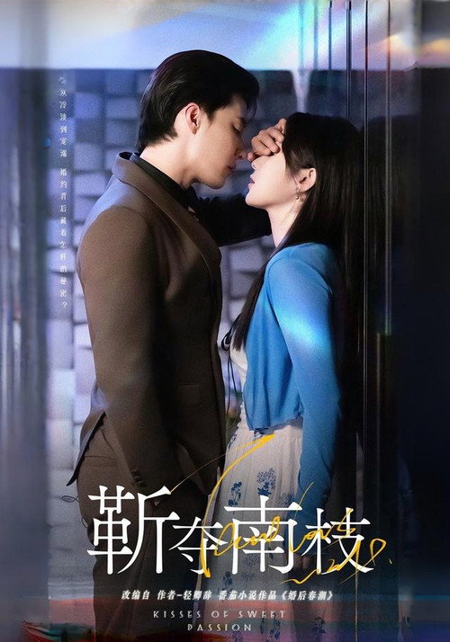 Póster de 靳夺南枝