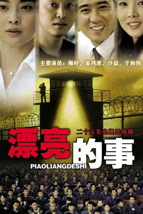 Póster de 漂亮的事