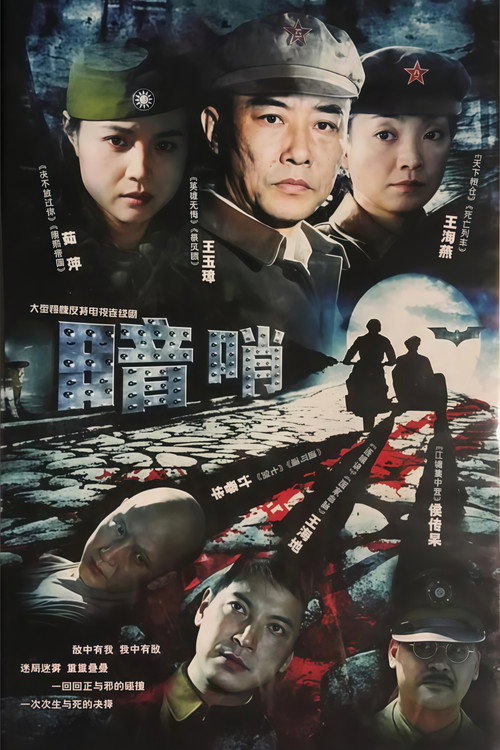 Póster de 暗哨