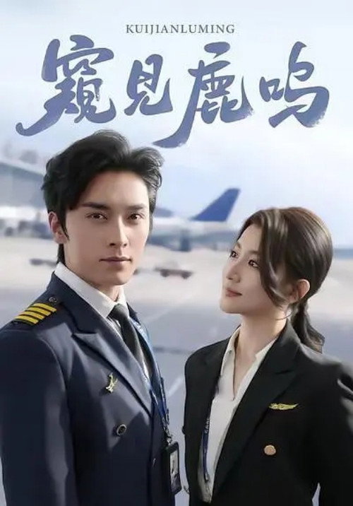 Póster de 窥见鹿鸣