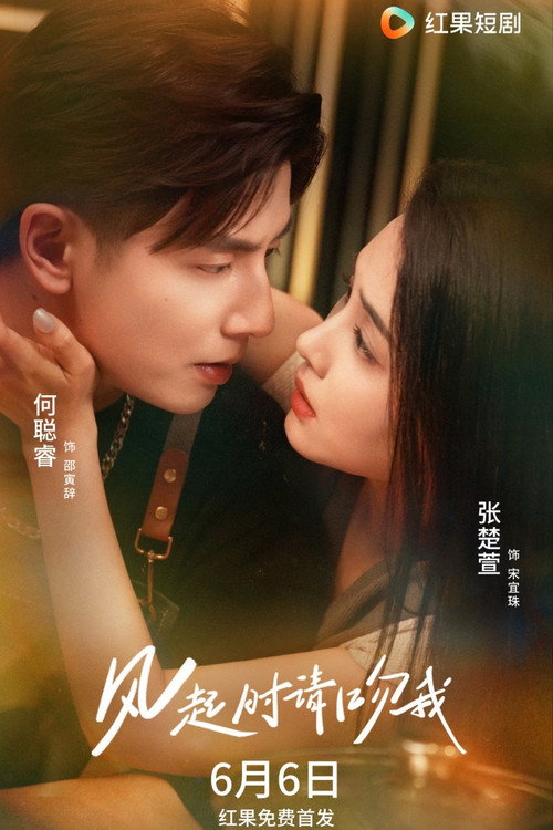 Póster de 风起时请吻我