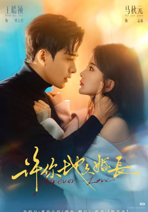 Póster de 许你地久婚长