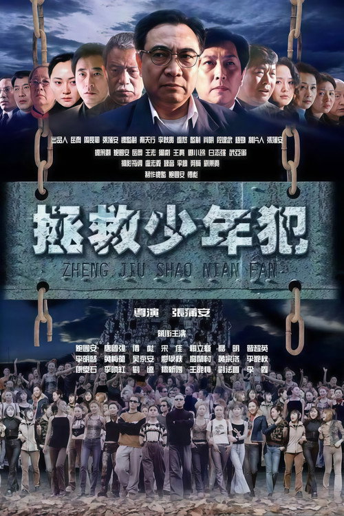 Póster de 拯救少年犯