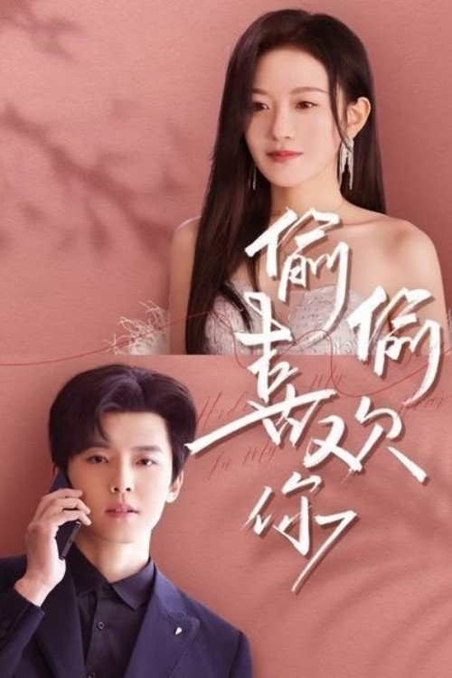 Póster de 偷偷喜欢你