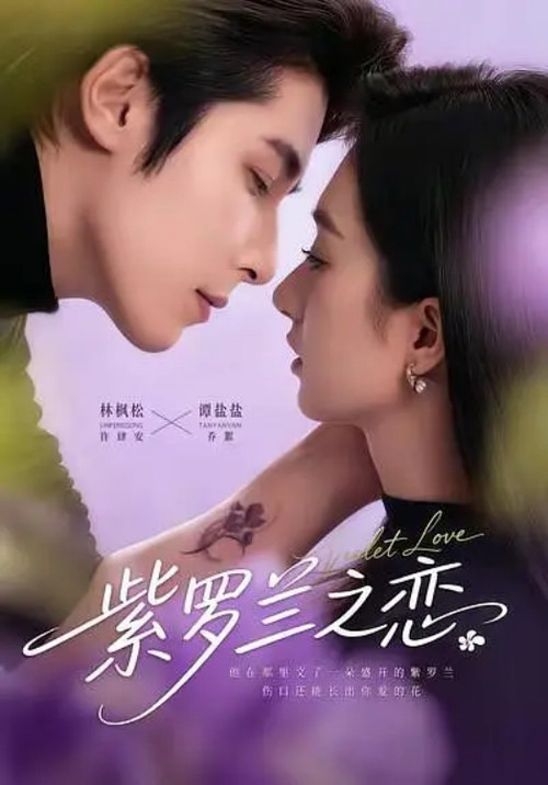 Póster de 紫罗兰之恋