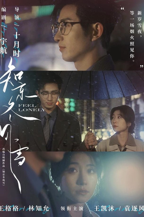 Póster de 知京冬风雪