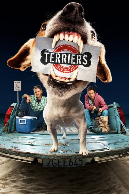 Póster de Terriers