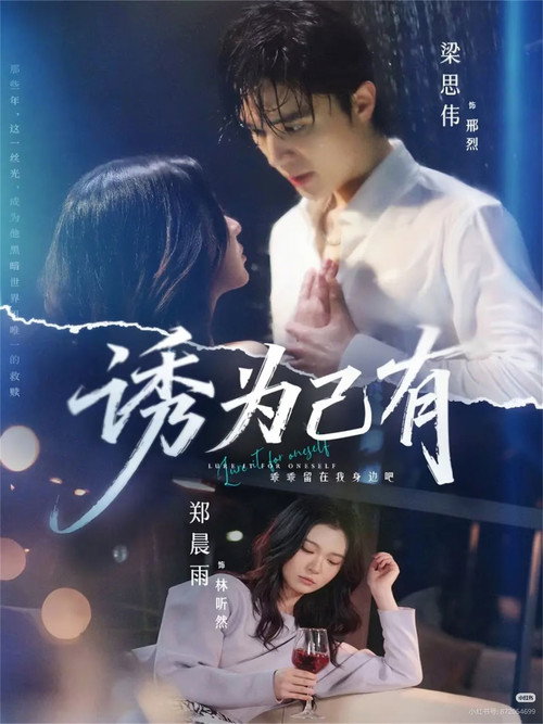 Póster de 诱为己有
