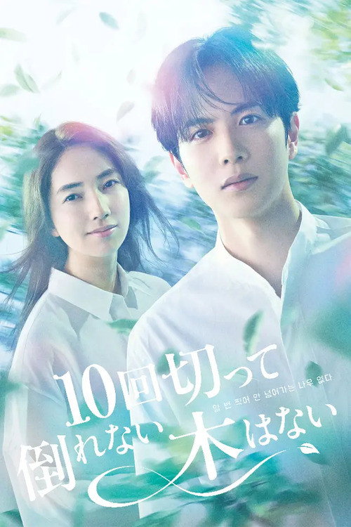 Póster de 10回切って倒れない木はない