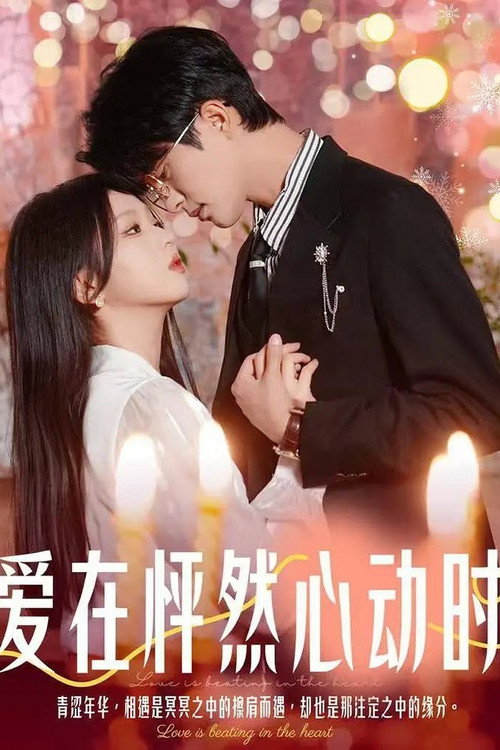 Póster de 爱在怦然心动时