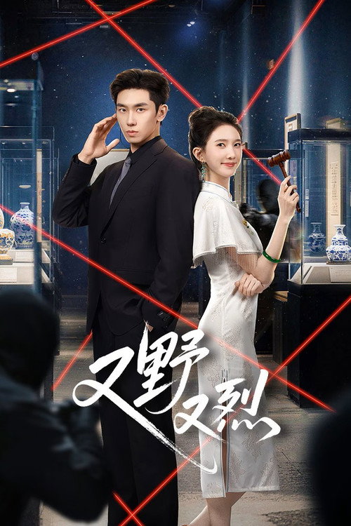 Póster de 又野又烈