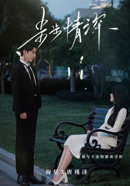 Póster de 步步情深