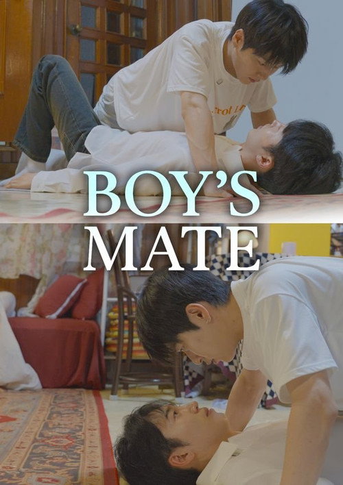 Póster de Boy's Mate